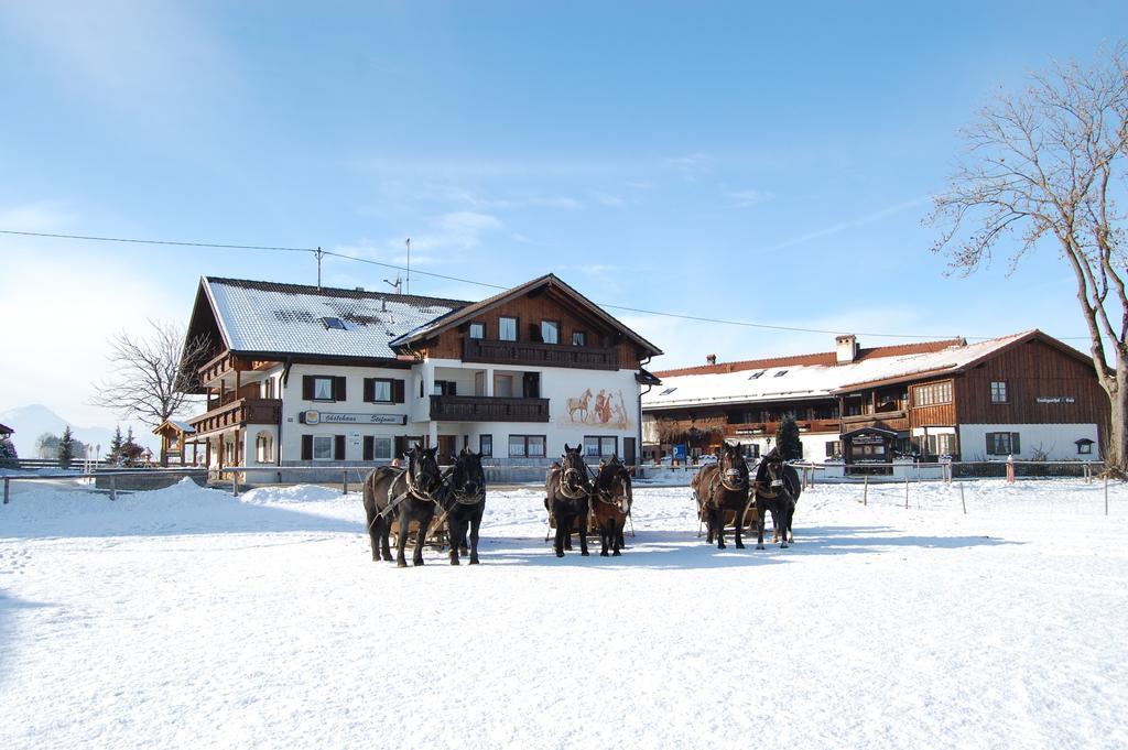 Gaestehaus Stefanie Schwangau Bilik gambar