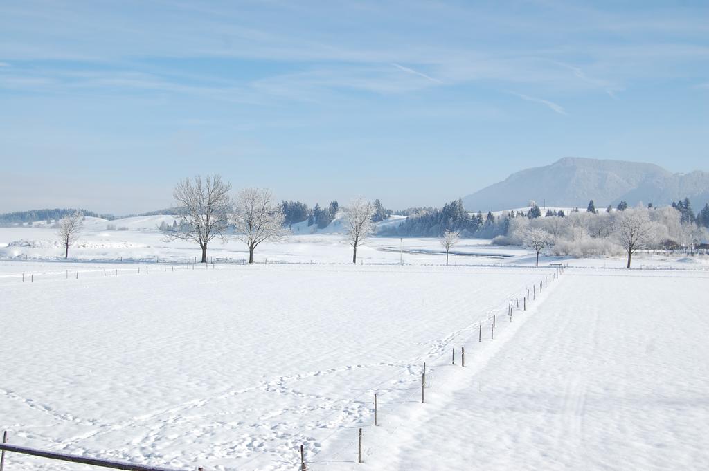 Gaestehaus Stefanie Schwangau Bilik gambar